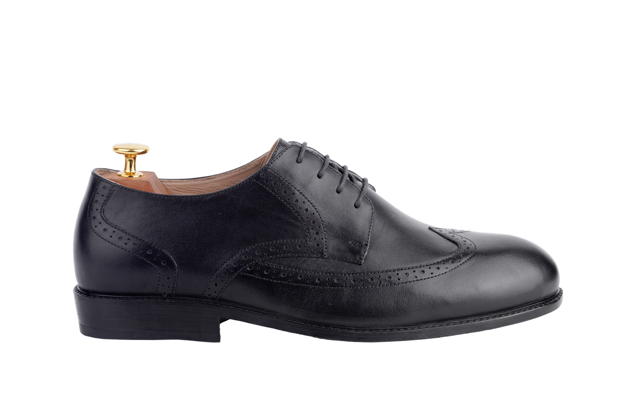 Model 27 - Derby Wingtip Half-Brogue (Seoul Last)