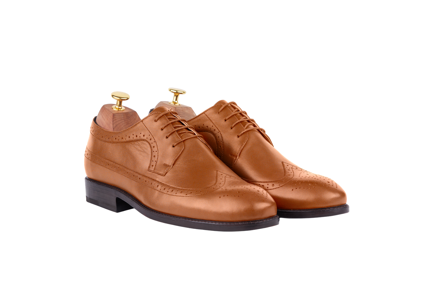 Model 31 - Derby Wingtip Full-Brogue (Jaipur Last)